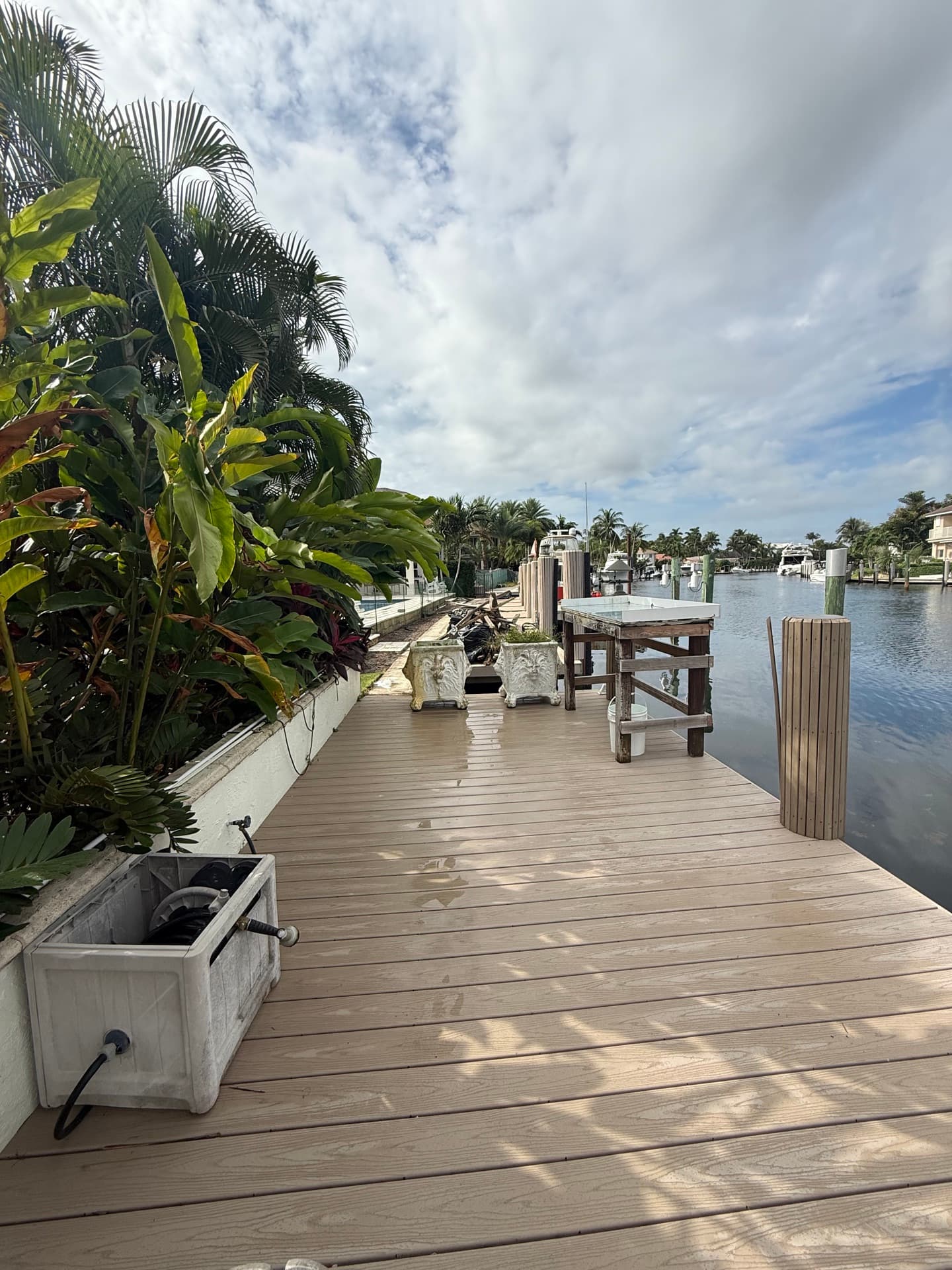 A private dock framed by tropical landscaping on a South Florida canal